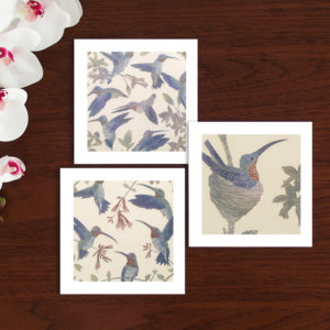 set of three hummingbird art cards